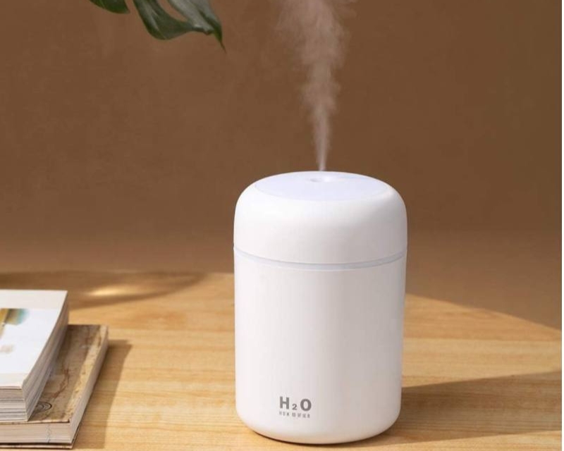 Humidifier 